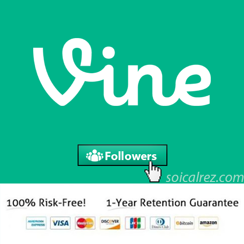 Buy Vine Followers