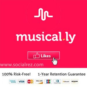 buy musically likes