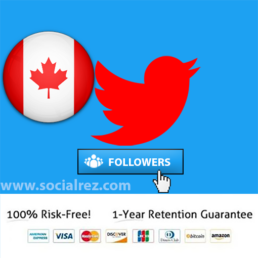 buy canada twitter followers